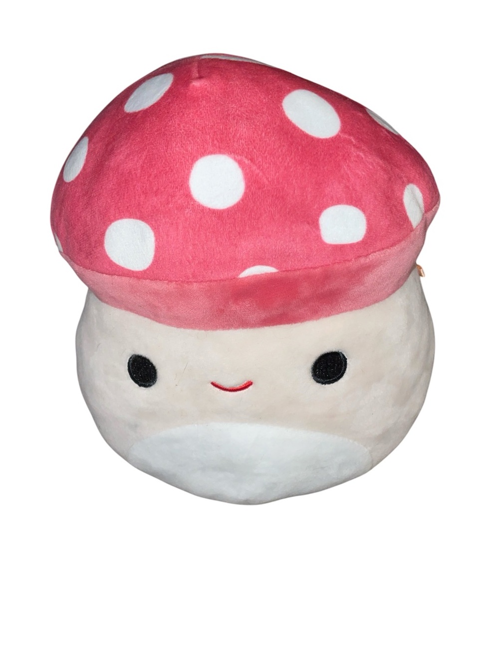 Malcolm the Mushroom squishmallow